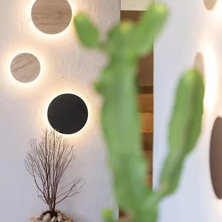 Cactopia - Stapelia *